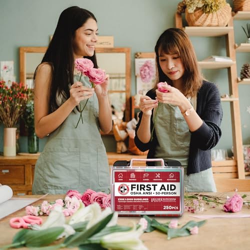 Be Smart Get Prepared First Aid Kit, 250 Piece. Exceeds OSHA ANSI Standards for Office, Home, Car, School, Emergency, Survival, Camping, Hunting, & Be Smart Get Prepared