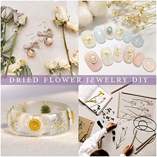 20 Bags Dried Flowers,100% Natural Dried Flowers Herbs Kit for Soap Making, DIY Candle Making,Bath - Include Rose Petals,Lavender,Don't Forget SACATR