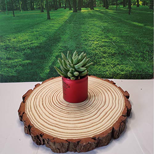 Natural Wood Slices Round Pine Wood Slabs 5 Pack Round Rustic Woods Slices 9"-11" Rustic Tree Bark Slice Weathered Log Disc Outdoor Country Barn BESTWD
