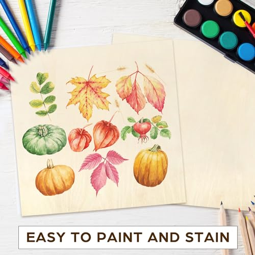 LotFancy Basswood Sheets for Craft, 12 Pack, 12 x 12 x 1/8 Inch, 3mm Thick Plywood Sheets, Unfinished Square Wood Boards for Laser Cutting & LotFancy