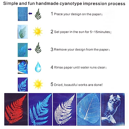 Fumwase 30 Sheets Sun Print Paper Kits Cyanotype Papers Kit A4 Nature Printing Solar Activated Light Sensitive Drawing Photosensitive Printmaking for Fumwase