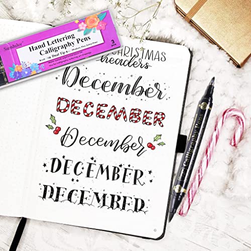 Sunshilor Dual Brush Calligraphy Pens Black Hand Lettering Pens for Beginners Writing, Art Drawing, Sketching, Illustration, Scrapbooking, Sunshilor