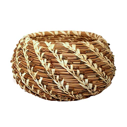 Traditional Craft Kits Coil Basket Kit - Pine Needle - Basket Weaving Kit Set with Supplies, Complete with Instructional Booklets and Basket Making Traditional Craft Kits