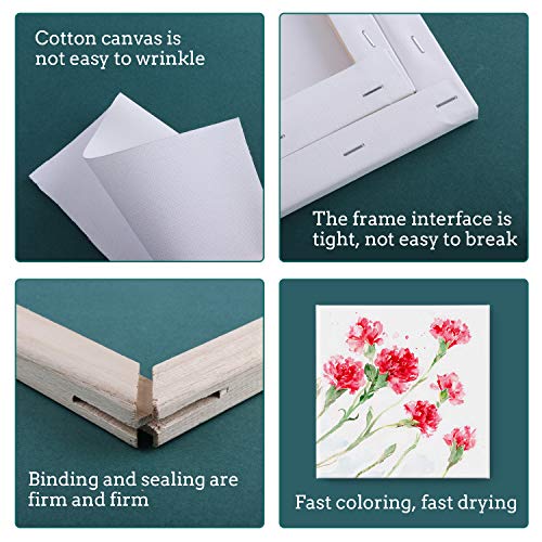 Stretched Canvas for Painting, Multi Size 11x14, 9x12, 8x10, 5x7, 4x4(4 of Each), 20 Packs Primed Blank Canvases, Very Good for Beginners or ESRICH