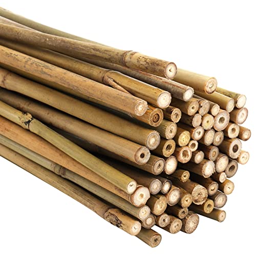Frcctre 60 Pack 16 Inch Bamboo Plant Stakes, Natural Garden Sticks for Plant Indoor and Outdoor Gardening Plant Support Climbing Stakes for Tomatoes, Frcctre