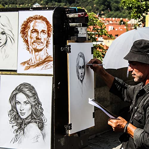 Sunshilor Professional Charcoal Pencils Drawing Set - 12 Pieces Soft Medium and Hard Charcoal Pencils for Drawing, Sketching, Shading, Artist Pencils Sunshilor