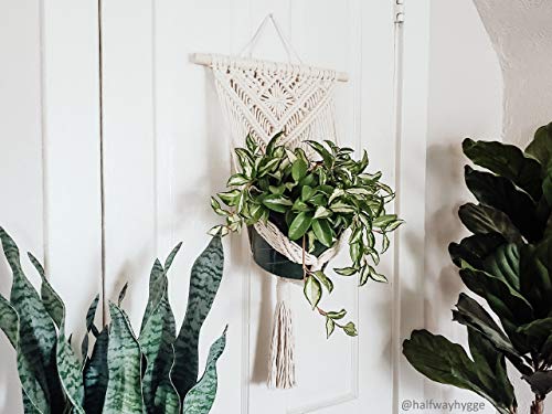 Pennsylvania Woodworks Maple Wooden Dowel Rods - Solid Hardwood Sticks for Crafting, Macrame, DIY & More - White, Unfinished Wood Dowels - Sanded Pennsylvania Woodworks