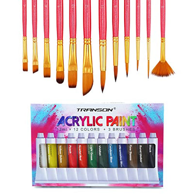 Transon Artist Paint Brush Set of 12 with Acrylic Paint Set 12-Color