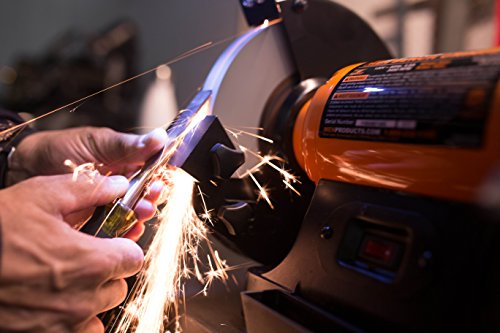 WEN BG4282 4.8-Amp 8-Inch Single Speed Bench Grinder with LED Work Lights, 14 x 10 x 11.75 inches, Black and Orange WEN