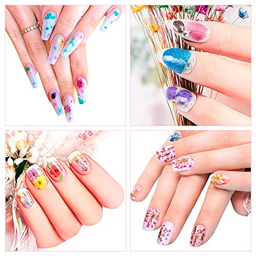 324PCS Dried Flowers Nail Art - Nail Art Accessories Kits, 81 Color Lovely Natural Nail Art, Dried Flowers for Resin Molds, Dry Flowers for Nails, YWLI