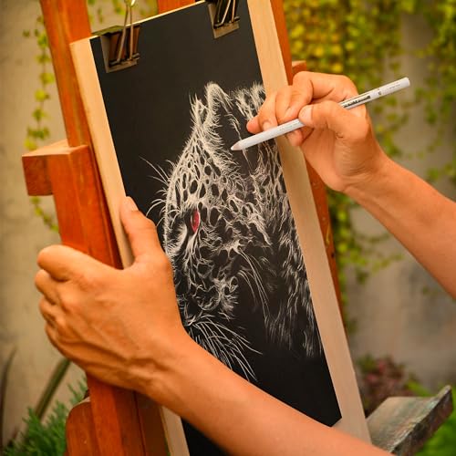 KALOUR White Charcoal Pencils Drawing Set, Professional 6 Pieces White Sketch Pencils for Drawing, Sketching, Shading, Blending, White Chalk Pencils KALOUR