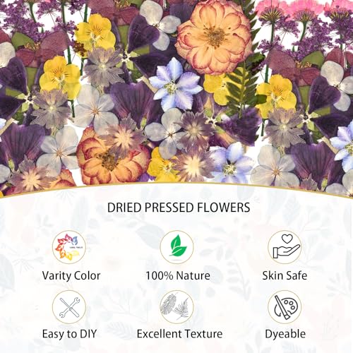 DALARAN 40 pcs Purple Flowers for Resin Model Real Dried Pressed Flowers Dry Leaves Bulk Natural Herbs Kit for Scrapbooking DIY Art Crafts, Epoxy DALARAN