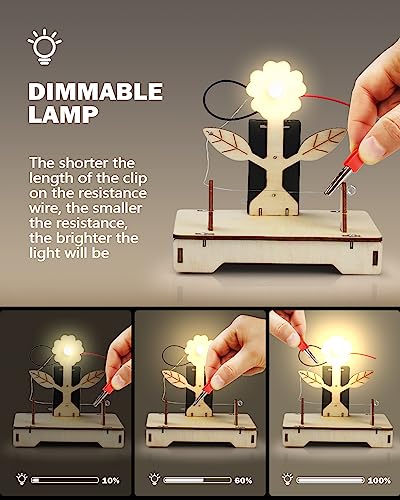 6 in 1 STEM Projects for Kids Ages 8-12, STEM Kits, 3D Wooden Puzzles, STEM Toys Building Kits, Educational Science Model Kits, Birthday Gifts for Poraxy