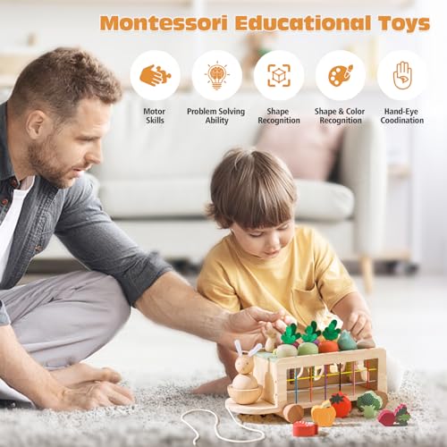 OESSUF Montessori Toys Toddlers Wooden Educational Toys for Baby Boys Girls, Shape Sorting & Matching Fine Motor Skills Toys, Birthday Gifts for Kids OESSUF