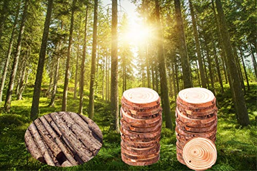 Tmflexe 30 Pcs Unfinished Predrilled with Hole Paintable Blank Natural Wood Slices2.4-2.8 Inches Christmas Festival Decoration Ornaments,DIY Crafts Tmflexe