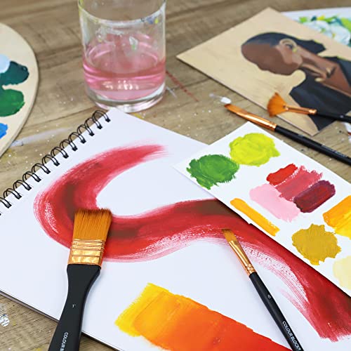 COLOUR BLOCK 12PC Acrylic Paint Brushes Set with Leather Case, Mixed Media Brush Set, Watercolor, Fabric Paint, Rock Painting Art Supplies in Easy COLOUR BLOCK