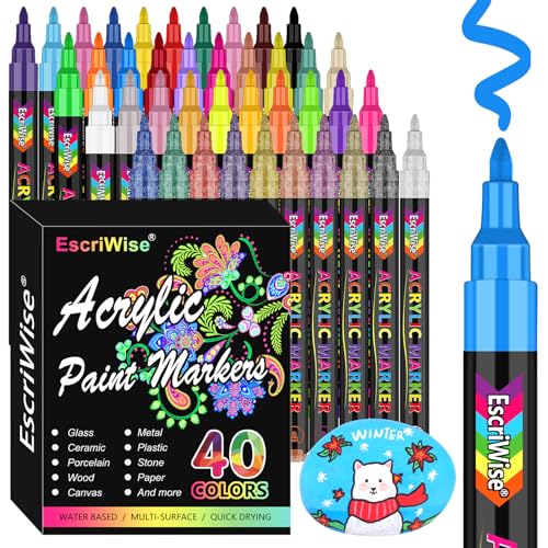 EscriWise 48 Colors Dual Tip Acrylic Paint Pens Set-Permanent Acrylic Paint  Markers with Brush and Fine Tip, Water Based Art Paint Pens for Rock