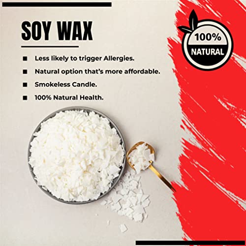 kid labsters - DIY Candle Making Kit for Adults & Kids - Beginner Soy Candle Making kit Includes Soy Wax, Scents, Wicks, Dyes, Tins, Melting Pot to kid labsters