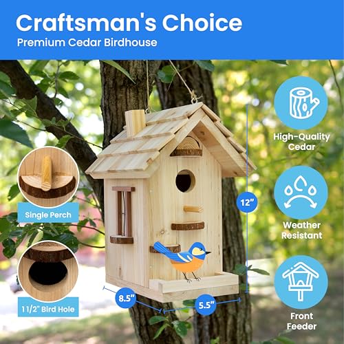 SparkJump Premium Wooden Bird House Kit | Build it Yourself Birdhouse | Birdhouse Kits for Adults to Build | DIY Bird House Kit and Woodworking Adult SparkJump