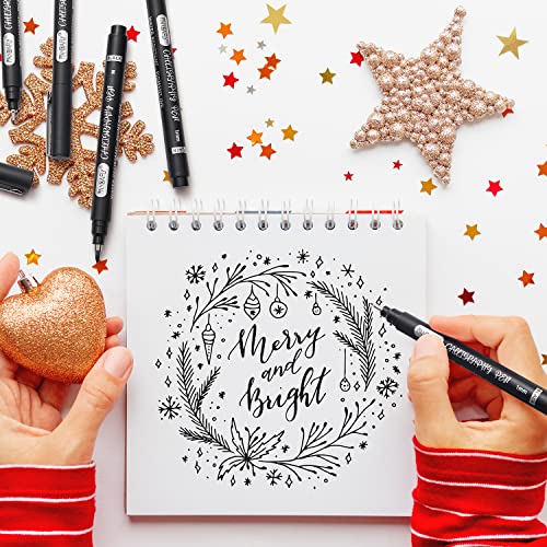PANDAFLY Calligraphy Pens, 10 Size Calligraphy Pens for Writing, Hand Lettering, Art Drawing, Sketching, Scrapbooking, Journaling, Calligraphy Brush PANDAFLY