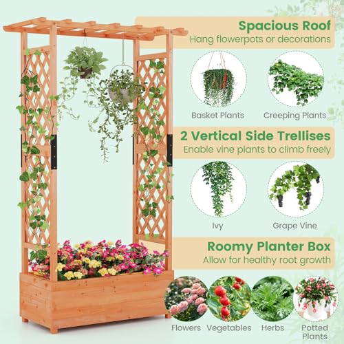 Giantex Raised Garden Bed with 2-Sided Trellis & Hanging Roof, Fir Wood Planter Box w/Drainage Holes, Bottom Gaps, Freestanding Garden Planter for Giantex