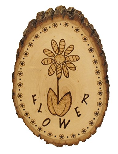 Walnut Hollow Basswood Round, Small 5-7" wide with Live Edge Wood (Pack of 1) - For Wood Burning, Home Décor, and Rustic Weddings Walnut Hollow