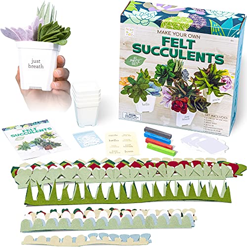Hapinest Make Your Own Potted Felt Succulents | DIY Arts and Crafts Kit for Adults, Teens and Kids Girls Ages 6 7 8 9 10 11 12 Years Old and Up | Art Hapinest
