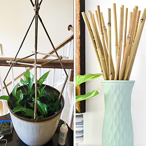 50Pcs Garden Stakes, 0.32”/16 Inch Bamboo Sticks,Natural Plant Stakes for Indoor and Outdoor Plants,Poles for Tomatoes, Beans, Potted Plants Anothera
