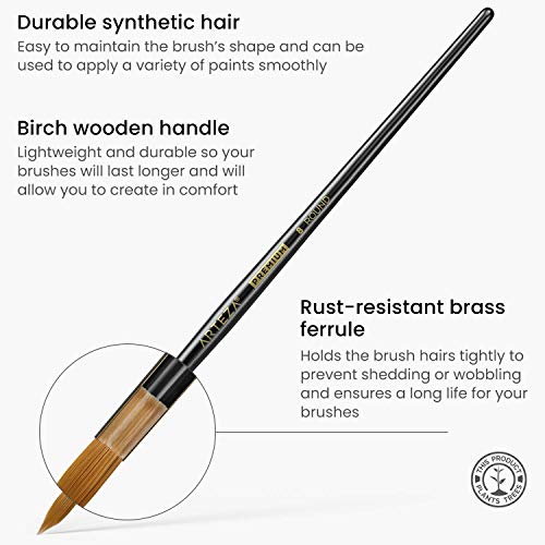 Arteza Paint Brushes, Set of 12, Premium Synthetic Acrylic & Oil Paint Brushes with Brass Ferrules & Wooden Birch Handles, Painting Art Supplies for ARTEZA
