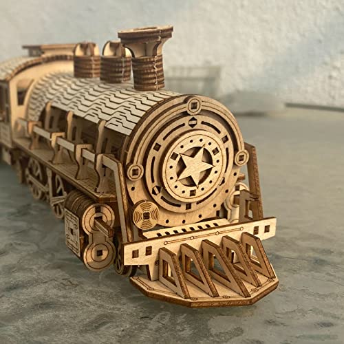 Express Train - DIY 3D Wooden Puzzle Model Kit - Laser Cut Wooden Puzzle Craft Kit, Brain Teaser Educational Building Model Toy for Kids -Mechanical ROEOLNIL