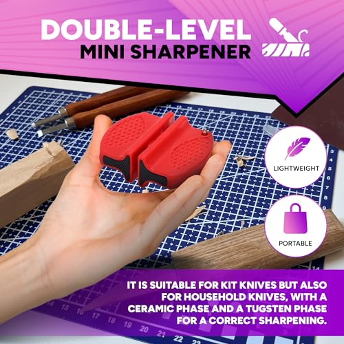 BittyWolf Wood Carving Kit 22 Pieces,Whittling Kit for Adults and Teens, Knife Set for Woodworking with Cut Resistant Gloves, Wooden Blocks, Knife BittyWolf