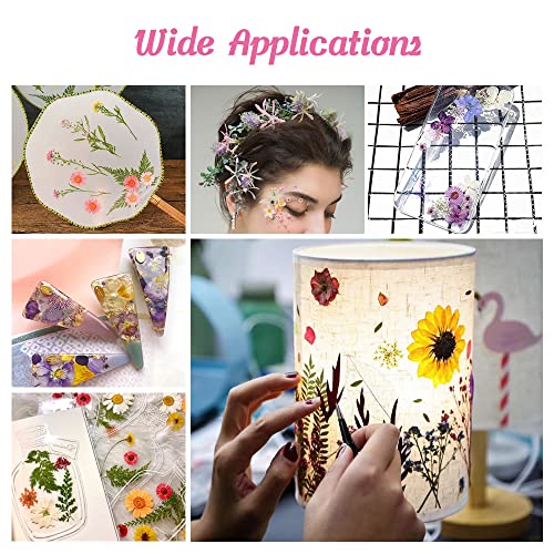 Blaflo 35+pcs Purple Flowers for Resin Model, Real Pressed Flowers Dry Leaves Bulk Natural Herbs Kit for Scrapbooking DIY Art Crafts, Epoxy Jewelry, Blaflo