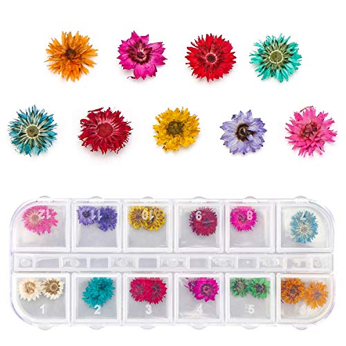 4 Boxes Dried Flowers for Resin, Gartful 48 Styles Natural 3D Applique Flowers DIY Craft Supplies, Resin Epoxy Casting Fillers for Silicone Molds, Gartful