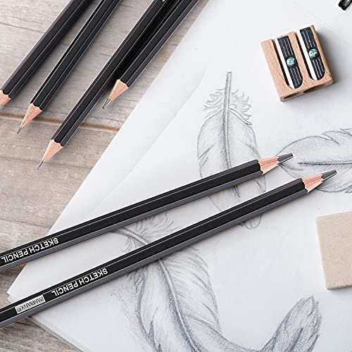 PANDAFLY Professional Drawing Sketching Pencil Set - 12 Pieces Graphite Pencils(14B - 2H), Ideal for Drawing Art, Sketching, Shading, Artist Pencils PANDAFLY