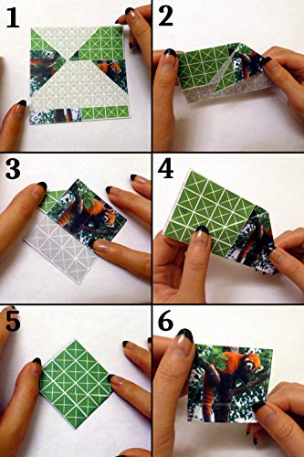 FOLDOLOGY - The Origami Puzzle Game! Hands-On Folding Brain Teasers. Stocking Stuffer/Gift for Tweens, Teens & Adults. Fold The Paper to Complete The FOLDOLOGY