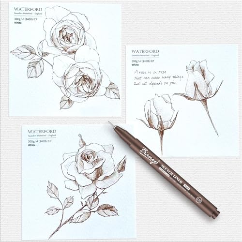 Bianyo Sepia Micro Pen Set, 12 Assorted Sizes Drawing Pens with Bonus Pouch Bag, Water-Resistant Archival and Pigment Ink Art Pens, Precision Drawing Bianyo