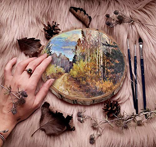 Lemonfilter Natural Wood Slices 12 Pcs 5.1-5.5 Inches Craft Wood Kit Wooden Circles Unfinished Log Wooden Rounds for Arts Crafts Wedding Christmas Lemonfilter