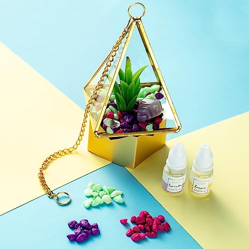 STMT D.I.Y. Crystal Terrarium, Terrarium Kit, DIY Terrarium Kit, Kids Terrarium Kit, Craft Kit, Terrarium Kit for Kids, Arts and Crafts for Kids, STMT