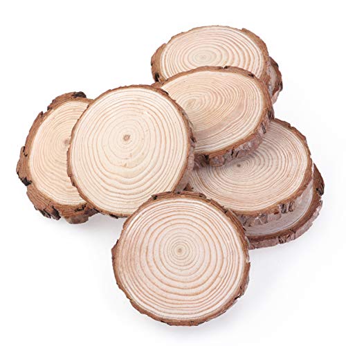 Ciieeo 5pcs Round Wooden Slices Unfinished Wood Discs for DIY Crafts Tree bark Wood Slices DIY Wood Mini Wooden Clips Wood Slices for Crafts with Ciieeo