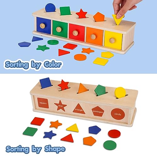 Montessori Toys Wooden Color & Shape Sorter Toys for Toddlers 1-3 Matching Box Sorting Blocks Manipulatives Preschool Learning Activities Educational Peacurh