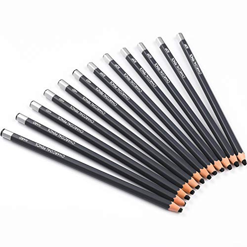 Sunshilor Professional Charcoal Pencils Drawing Set - 12 Pieces Soft Medium and Hard Charcoal Pencils for Drawing, Sketching, Shading, Artist Pencils Sunshilor