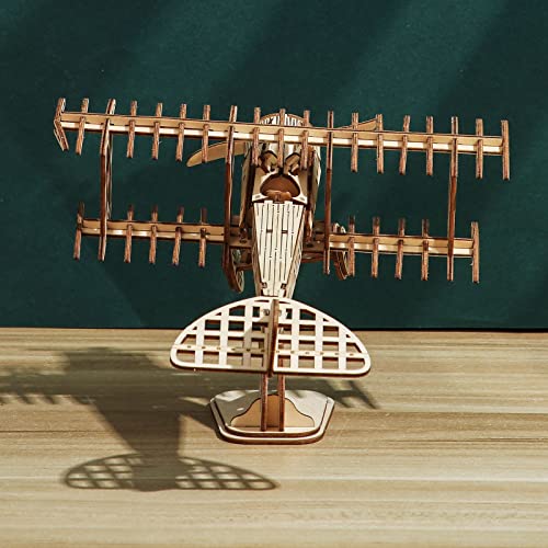 3D Wooden DIY Ferris Wheel Puzzle Kit - Perfect Educational Gift for All Ages ROEOLNIL