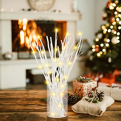 SOUJOY 30 PCS Willow Branches, Decorative Dried Curly Branches, 10'', 12'' Natural Wood Diffuser Stick for Vase, Craft DIY, Home, Office SOUJOY