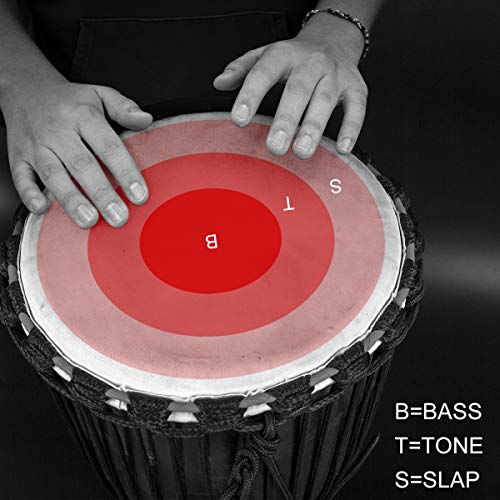 Djembe Drum, AKLOT African Drum Hand-Carved 9.5'' x 20'' Mahogany Goatskin Drumhead for Starter Beginners Adult AKLOT