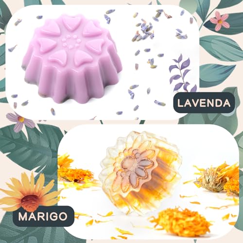 Handmade Soap Making Kit Supplies, DIY Melt & Pour Soap Making Kit for Adults: Includes 2lbs Soap Base, Dried Flowers, Pigment, Silicon Mold, Tassika