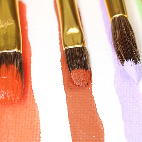 Mont Marte Art Paint Brushes Set with Case, 10 Different Size, Nice Art Gift for Kids &Artists Mont Marte