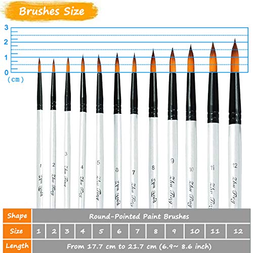 Acrylic Paint Brushes Set, 12pcs Professional Round-Pointed Tip Artist Paintbrushes for Acrylic Watercolor Oil Painting, Face Body Nail Art, Crafts, Auhoahsil