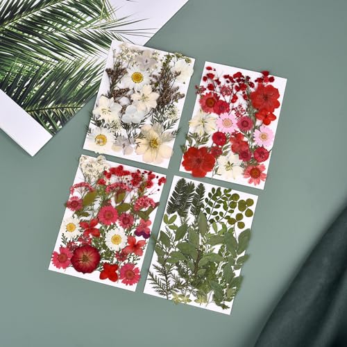 DALARAN 100pcs Red Natural Flowers and Leaves Compressed Dried Flowers for Resin Vacuum Packed DIY Dried Flowers for Epoxy Jewelry Candles Soap Nail DALARAN