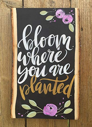 Wilson Basswood Planks (XLarge Wide (11-13 x 23 x 3/4 Inch) Wilson Enterprises, Inc.