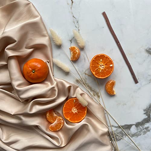 Amosfun Wood Log Sticks Twig Birch Tree Twigs 40pcs 20cm+ 30cm Wood Log Sticks Wood Craft Sticks Photo Props Craft Sticks for DIY Crafts Photo Props Amosfun